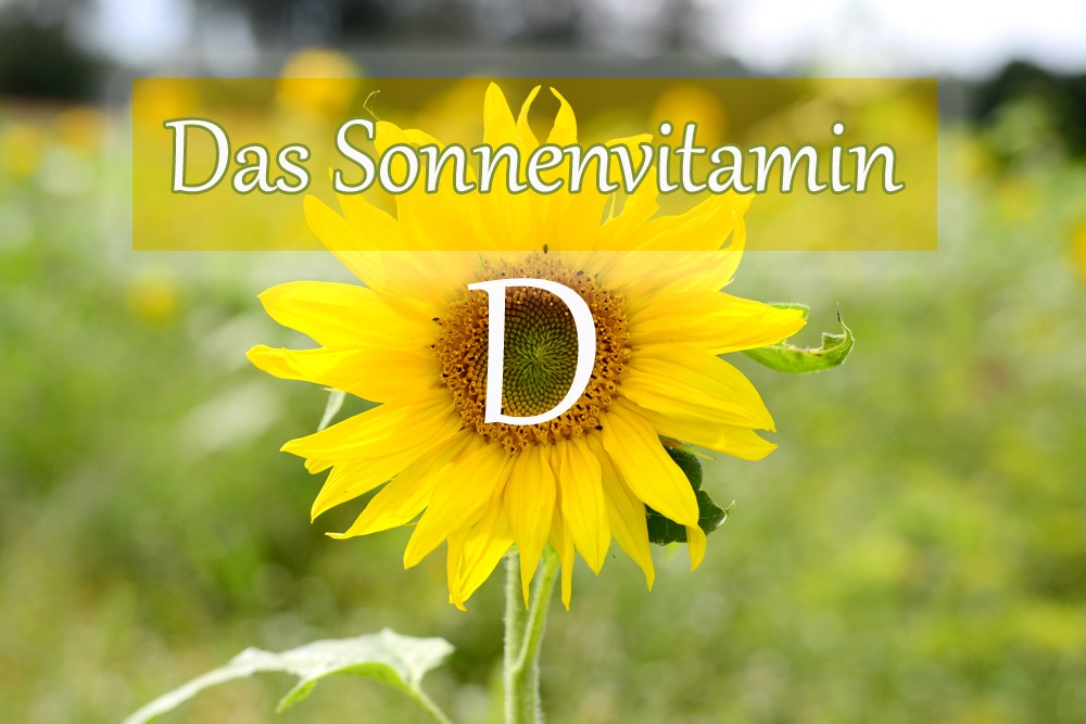 Gesundheitsberatung Annaberg Buchholz
